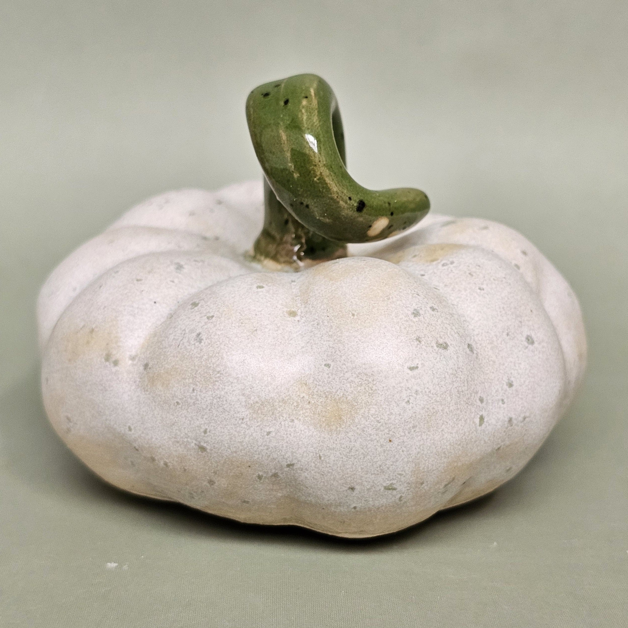 Citrouille Enchantée S - Rosée des Sous-Bois (C#2609)