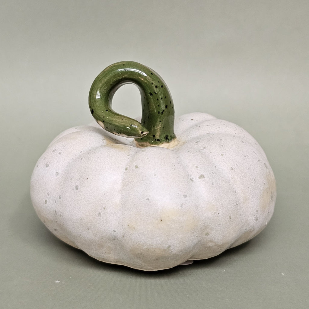 Citrouille Enchantée S - Rosée des Sous-Bois (C#2609)