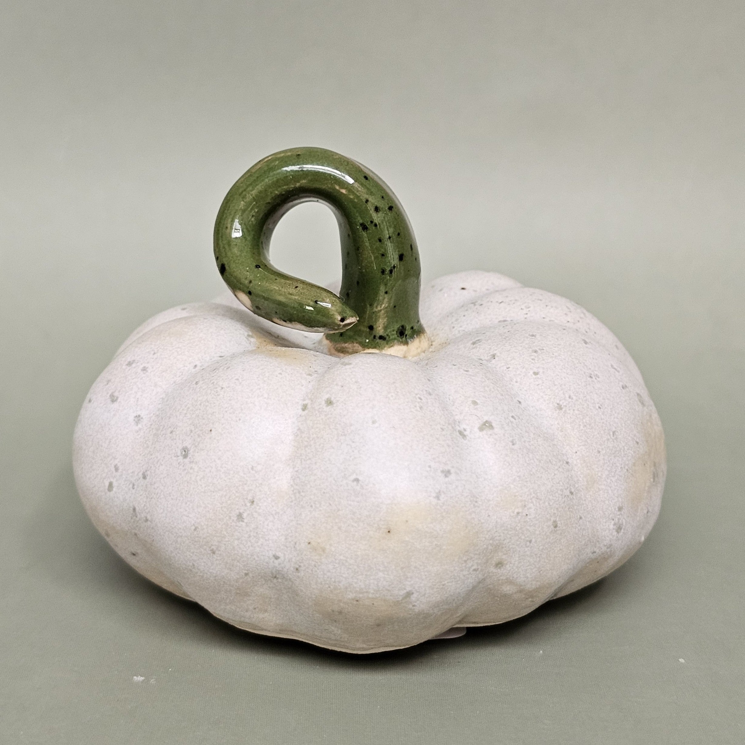 Citrouille Enchantée S - Rosée des Sous-Bois (C#2609)