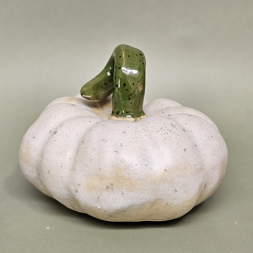 Citrouille Enchantée S - Rosée des Sous-Bois (C#2609)