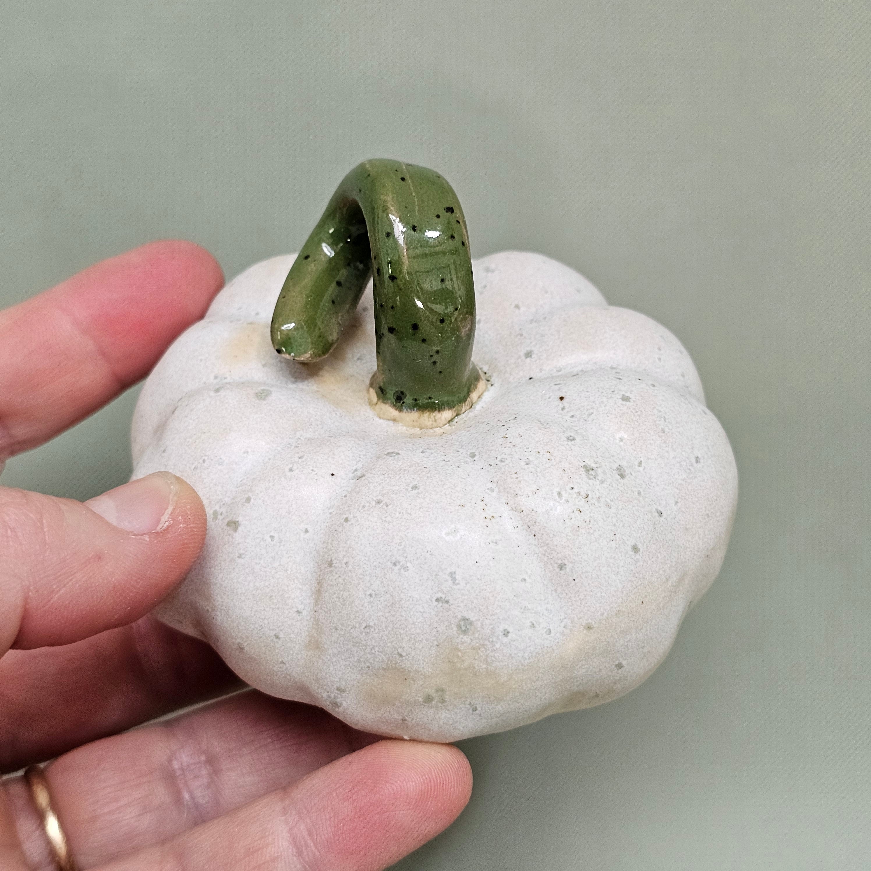 Citrouille Enchantée S - Rosée des Sous-Bois (C#2609)