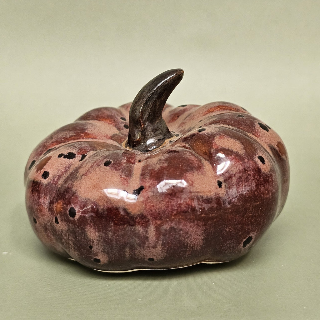 Citrouille Enchantée S - Brume d’Automne (C#2610)