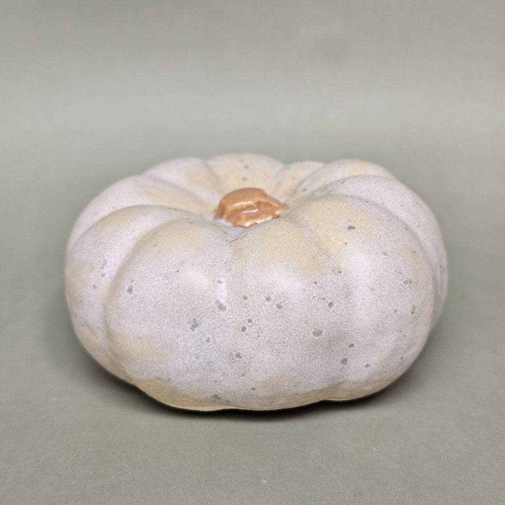 Citrouille Enchantée S - Rosée des Sous-Bois (C#2611)