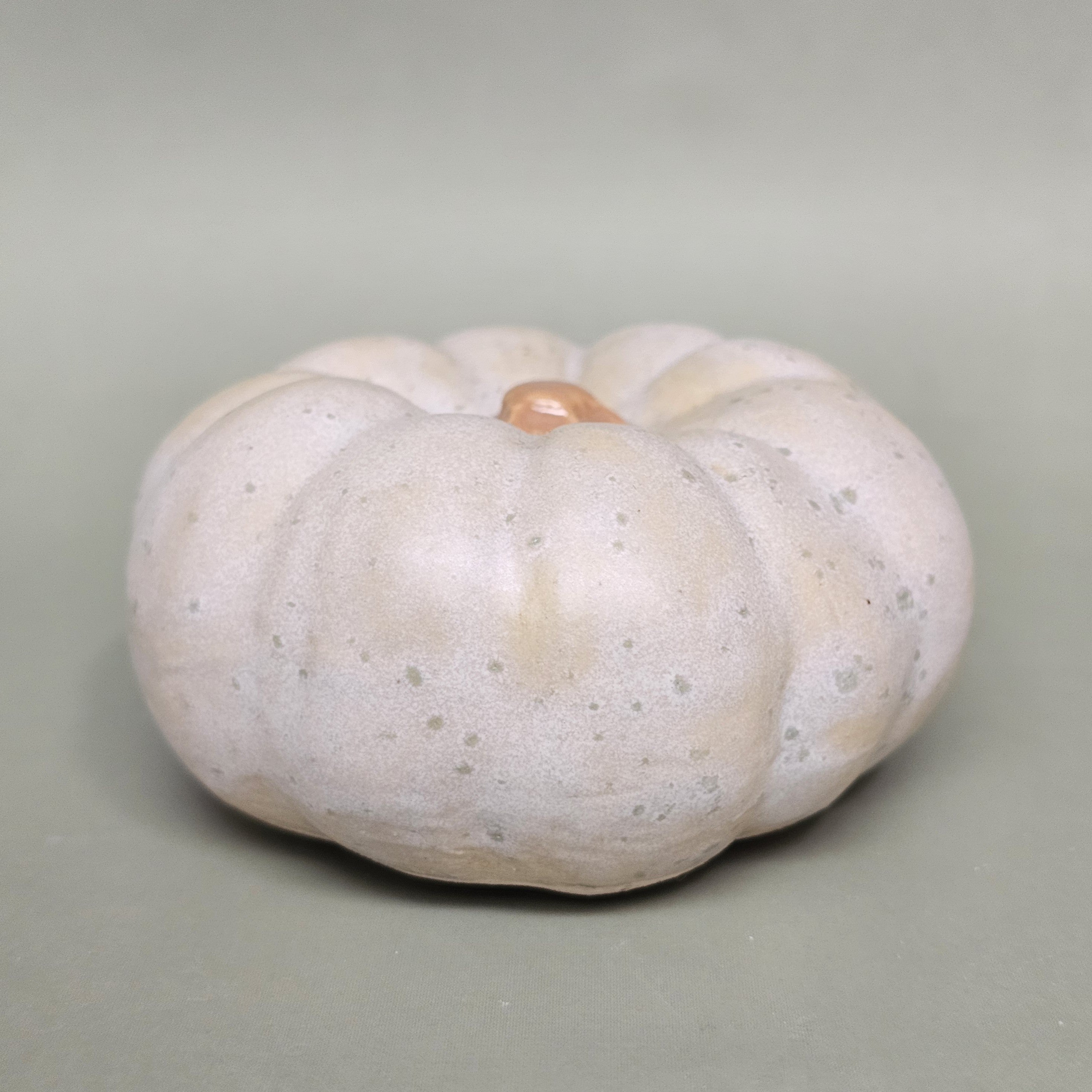 Citrouille Enchantée S - Rosée des Sous-Bois (C#2611)