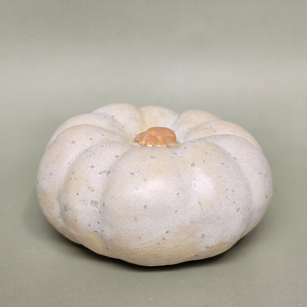 Citrouille Enchantée S - Rosée des Sous-Bois (C#2611)
