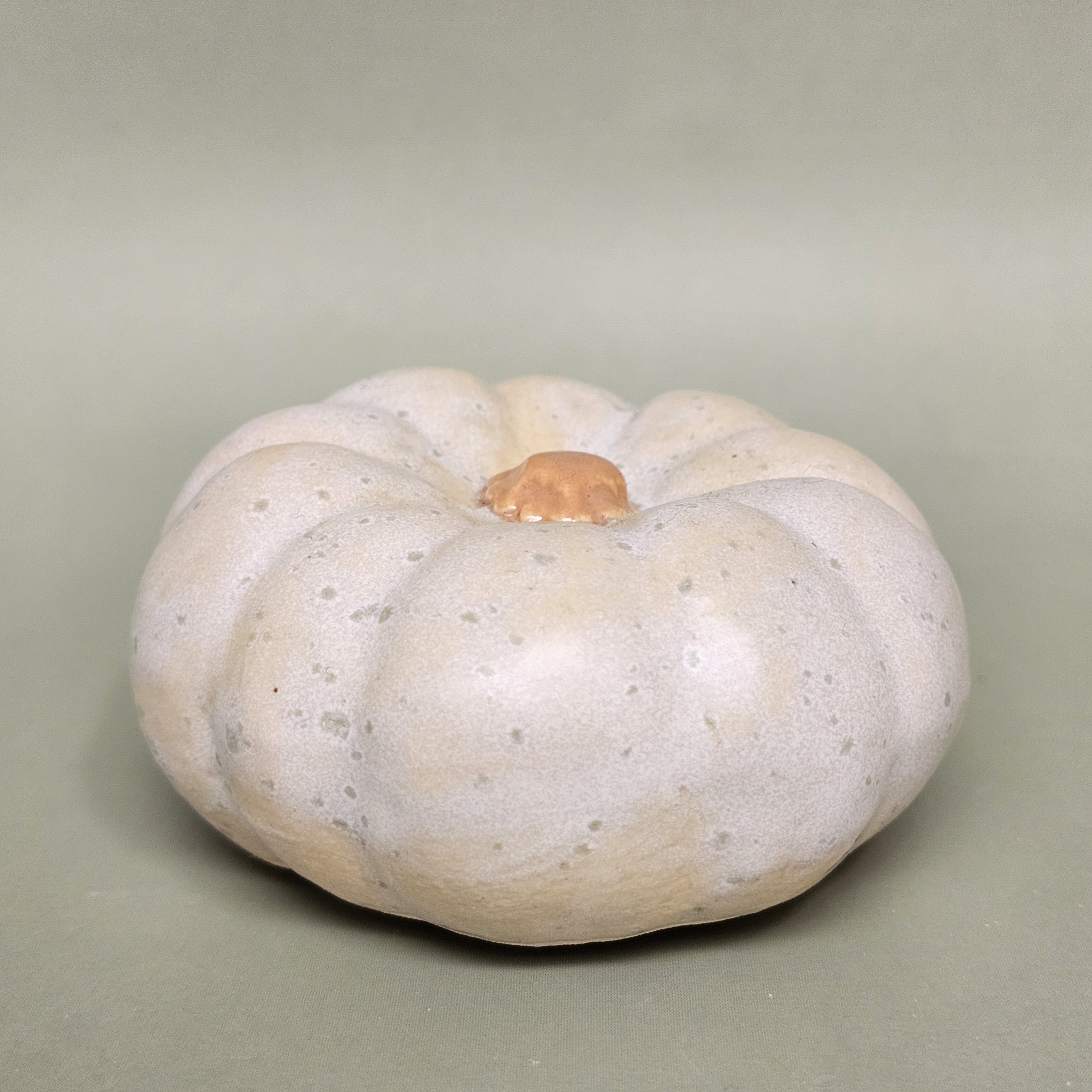 Citrouille Enchantée S - Rosée des Sous-Bois (C#2611)