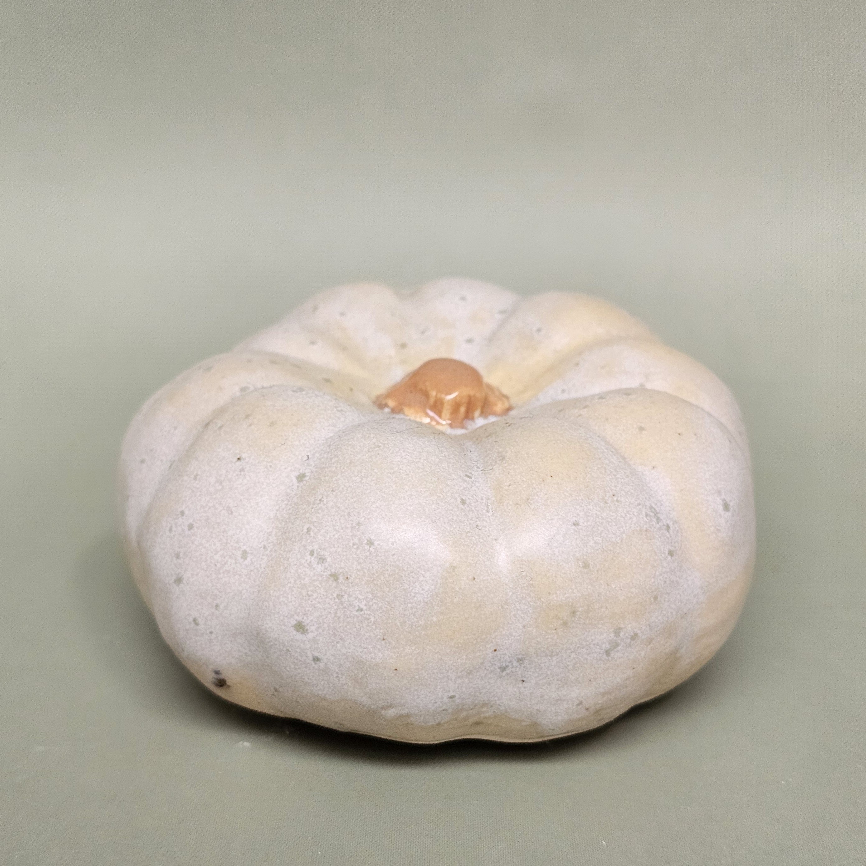 Citrouille Enchantée S - Rosée des Sous-Bois (C#2611)