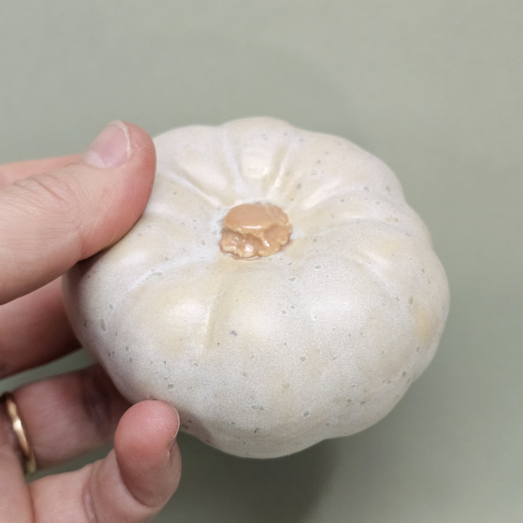 Citrouille Enchantée S - Rosée des Sous-Bois (C#2611)