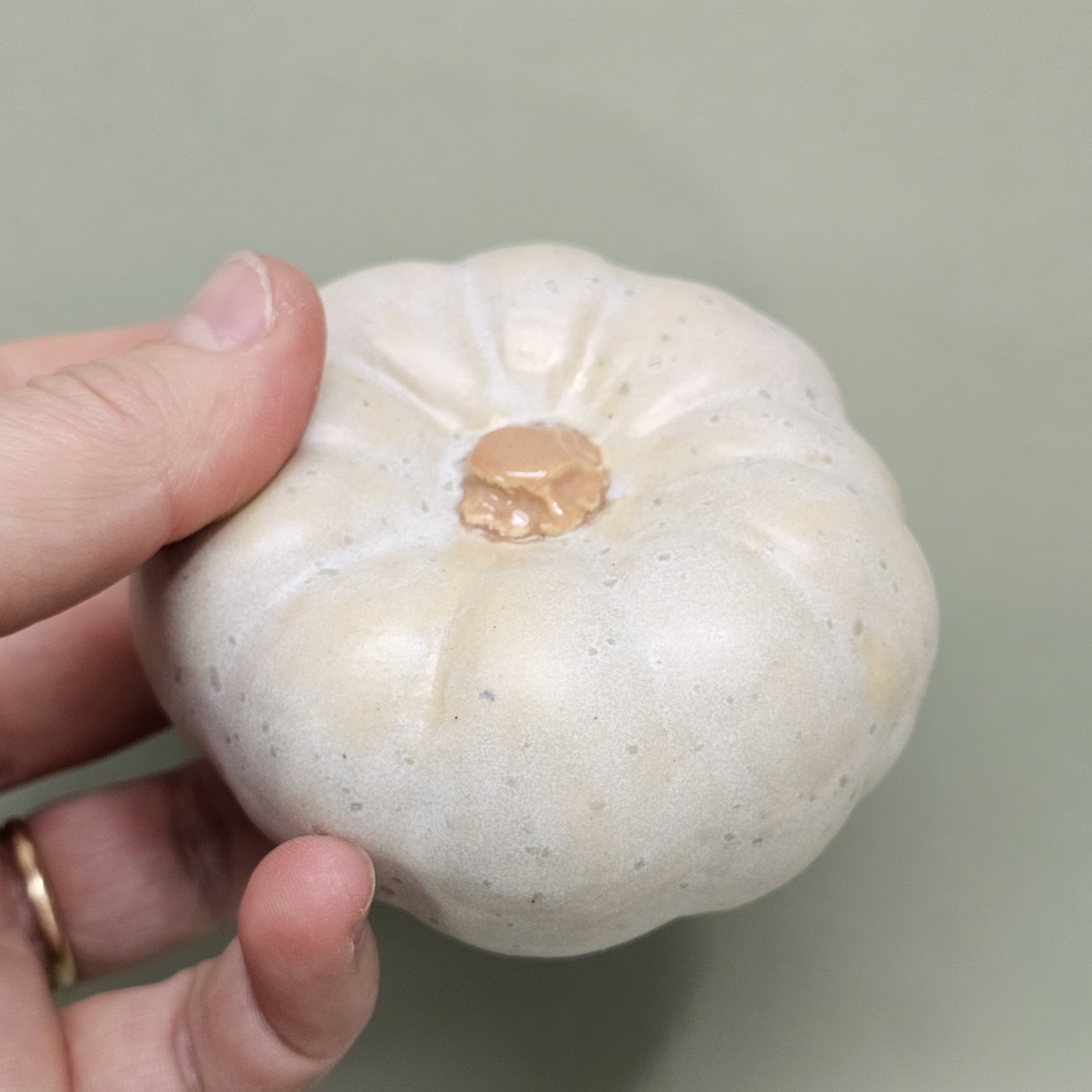 Citrouille Enchantée S - Rosée des Sous-Bois (C#2611)